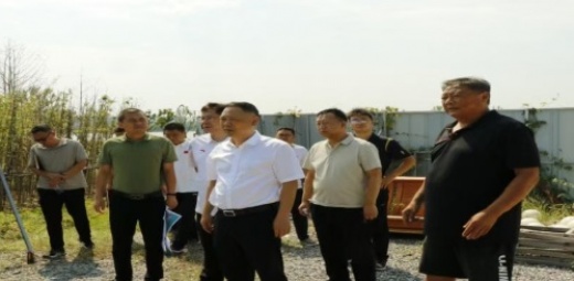 张鹏同志到市体育艺术学校调研